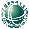 国度电网公司